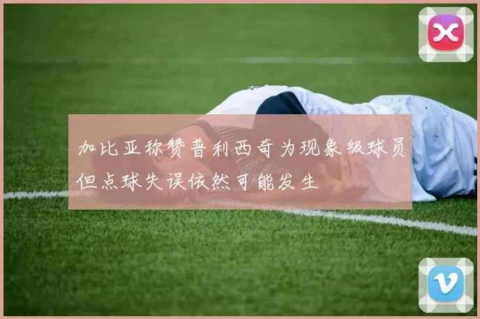 加比亚称赞普利西奇为现象级球员但点球失误依然可能发生