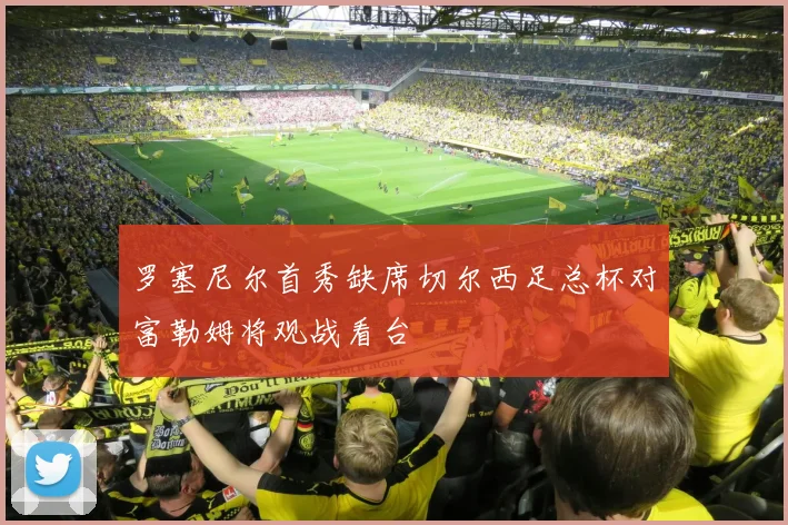 罗塞尼尔首秀缺席切尔西足总杯对富勒姆将观战看台