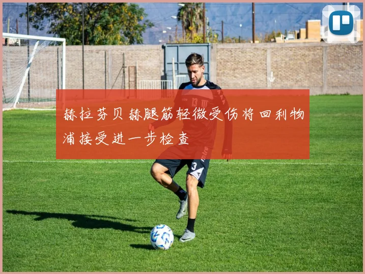 赫拉芬贝赫腿筋轻微受伤将回利物浦接受进一步检查